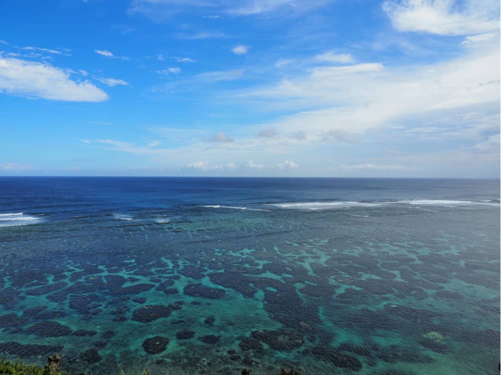 サンゴ礁　海