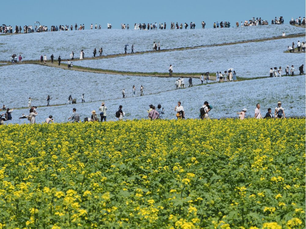 ひたちなか海浜公園