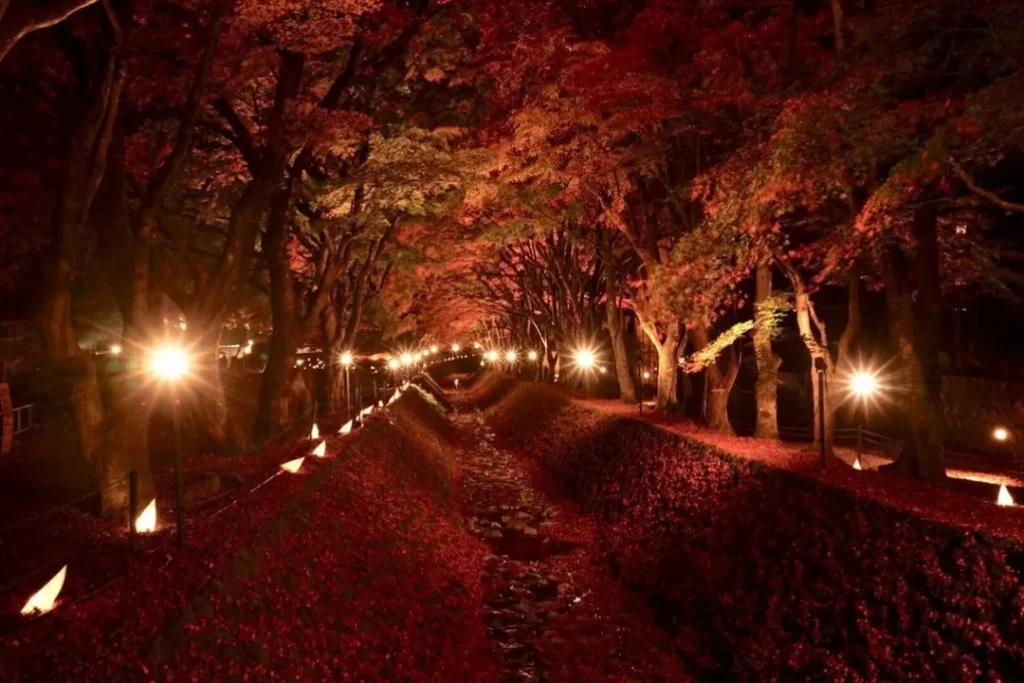 紅葉