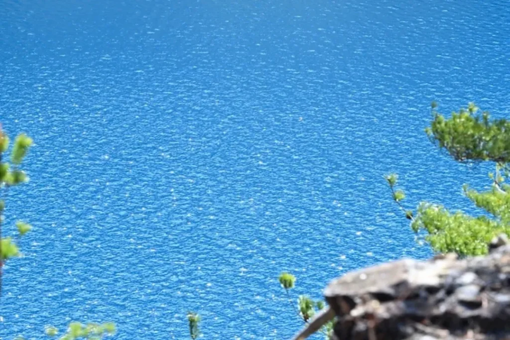 きらめく水面